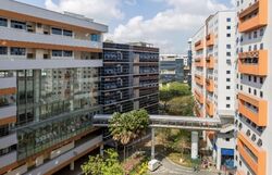 Woodlands Spectrum (D25), Factory #630236601